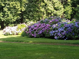 Ferienhaus Südwestseeland  25