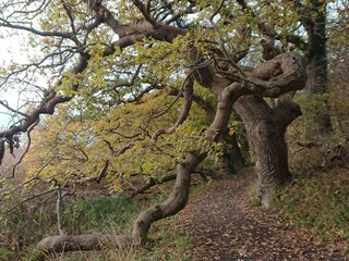 Vakantiehuis Südwestseeland  28