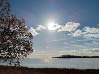 Ferienhaus Südwestseeland  42