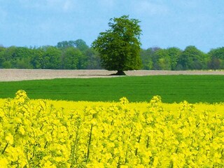 Appartamento Schwerin Ambiente 9