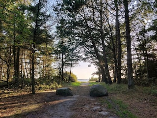 Ferienhaus Esbjerg Außenaufnahme 4