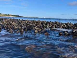 Vakantiehuis Esbjerg  30