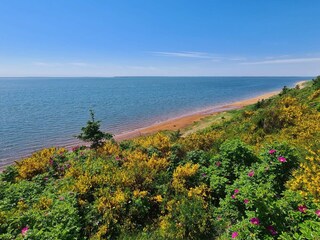 Casa per le vacanze Esbjerg  54