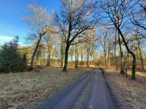 Ferienhaus 4 persone case ad Glesborg-By Traum