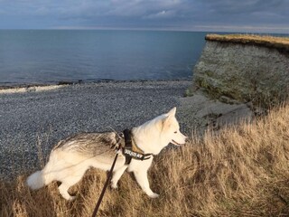 Holiday house Glesborg  40