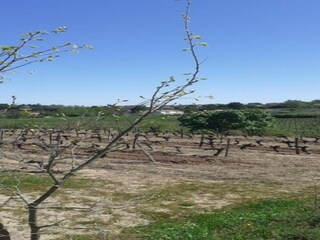 Casa per le vacanze Payzac (Ardèche) Ambiente 28