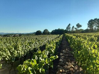 Casa de vacaciones Payzac (Ardèche) Entorno 31