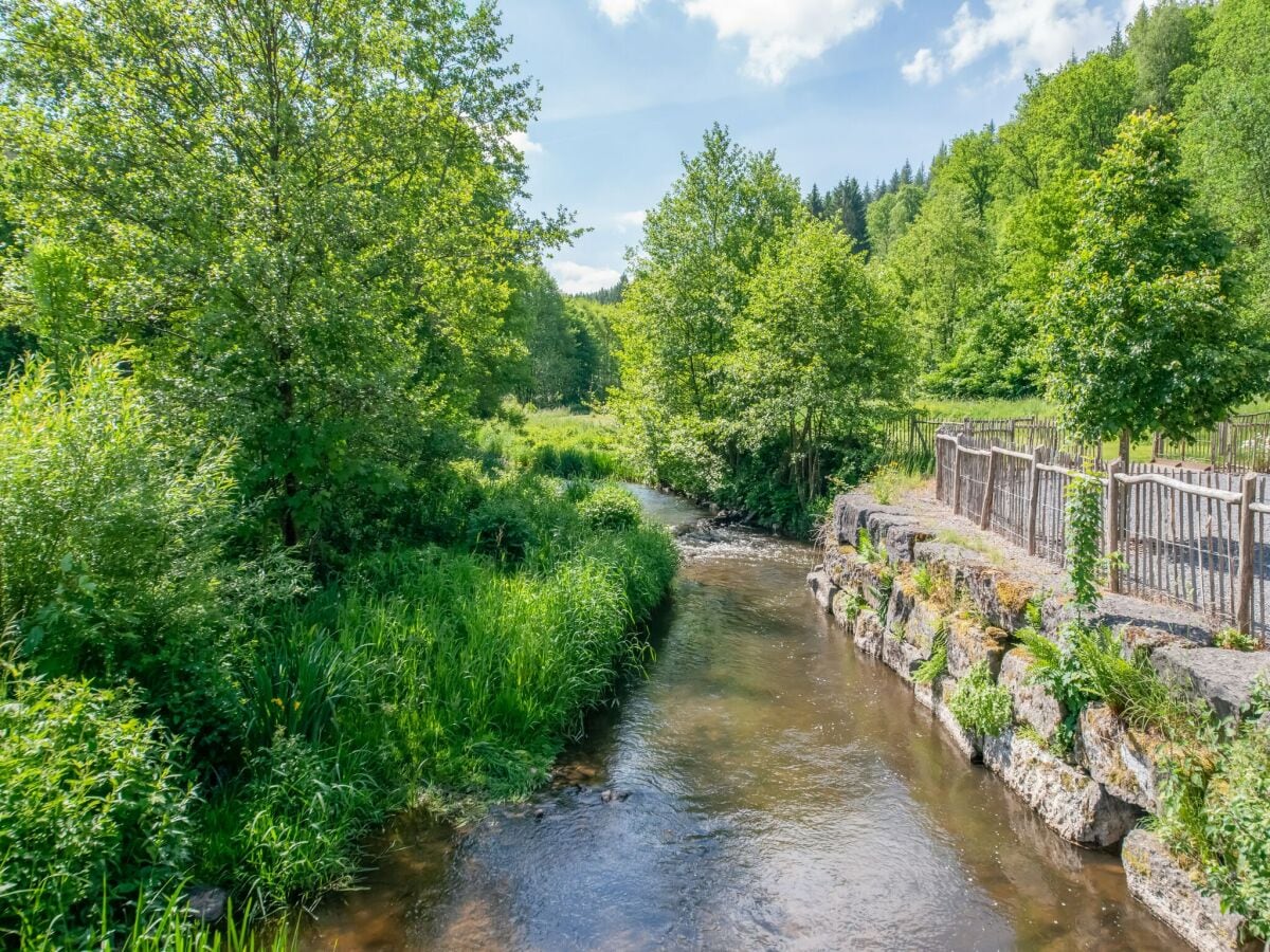 Ferienhaus Bièvre Umgebung 4