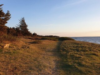 Vakantiehuis Skaven Strand  31