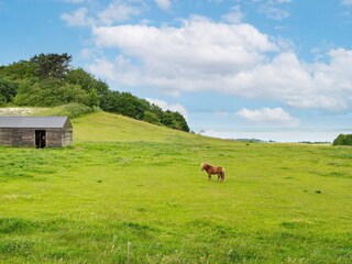 Vakantiehuis Rønde  5