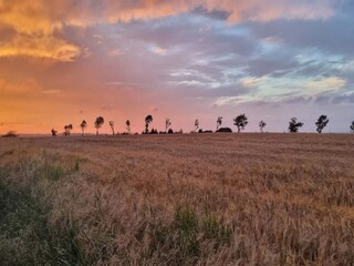 Maison de vacances Fur  42