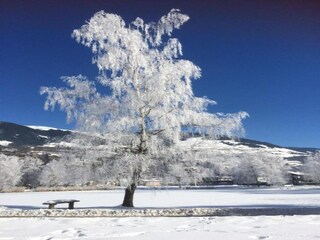 Appartement Mittersill Omgeving 36