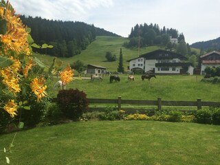 Chalet Ellmau Außenaufnahme 8