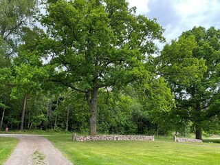 Vakantiehuis Källby Buitenaudio-opname 11
