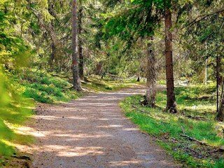 Vakantiehuis Sälen  10