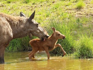 Ferienhaus Sälen  19