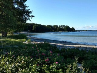 Vakantiehuis Sölvesborg  14