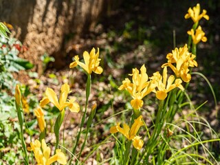 Appartamento Dubrovnik Registrazione all'aperto 1
