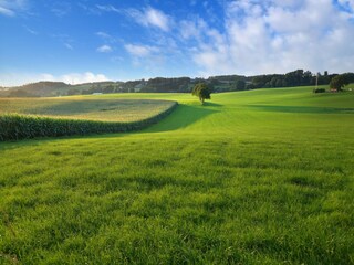 Farmhouse Walem Environment 33