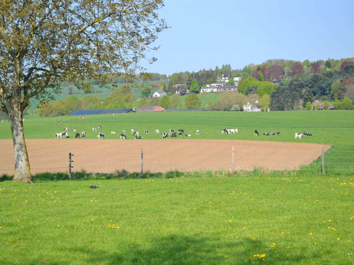 Bauernhof Walem Umgebung 30