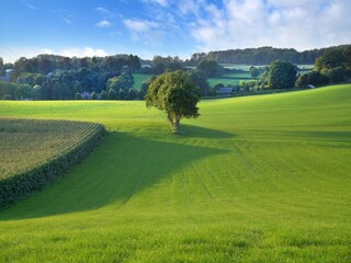 Type de propriété : Ferme Walem Environnement 29