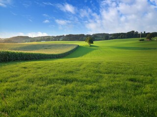 Type de propriété : Ferme Walem Environnement 31