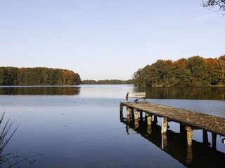 Ferienhaus Dümmer (Mecklenburg) Umgebung 29