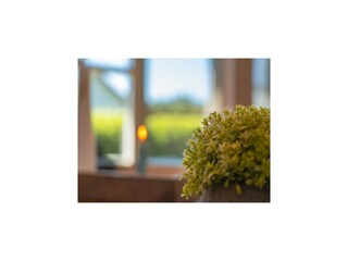Maison de vacances Dümmer (Mecklenburg)  37