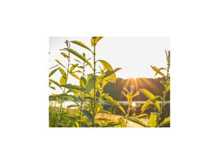 Casa per le vacanze Dümmer (Mecklenburg) Ambiente 18