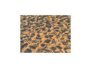 Casa de vacaciones Dümmer (Mecklenburg) Entorno 26