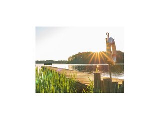 Maison de vacances Dümmer (Mecklenburg) Environnement 31