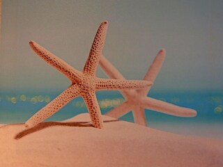 Appartamento Zinnowitz  22