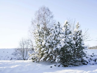 Apartamento Braunlage  43