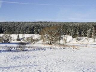 Apartamento Braunlage  44