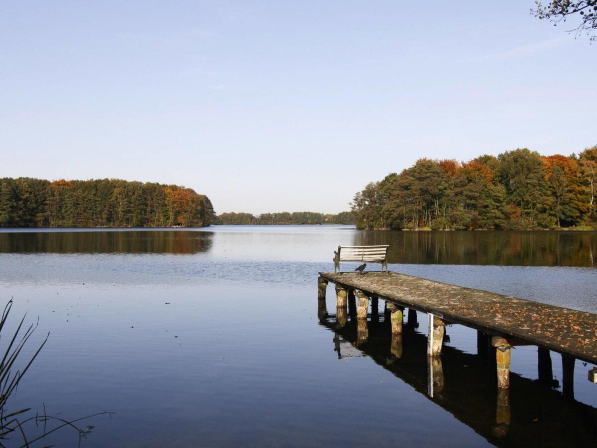 Ferienhaus Dümmer (Mecklenburg) Umgebung 24