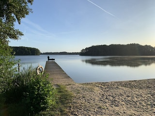 Ferienhaus Dümmer (Mecklenburg) Umgebung 23