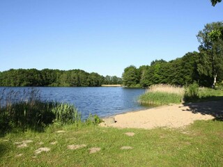 Ferienhaus Dümmer (Mecklenburg) Umgebung 19