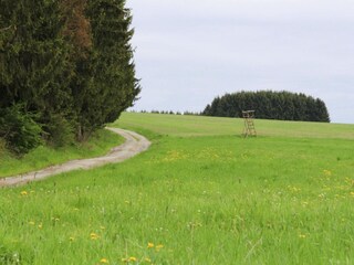 Apartment Braunlage Outdoor Recording 10