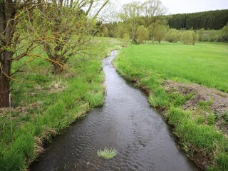Apartment Braunlage Environment 44