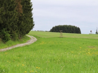 Apartment Braunlage Environment 42