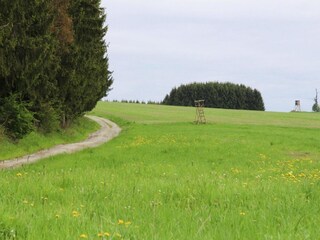 Apartment Braunlage Umgebung 45