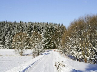 Appartamento Braunlage Ambiente 46