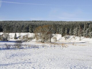 Apartamento Braunlage Entorno 43