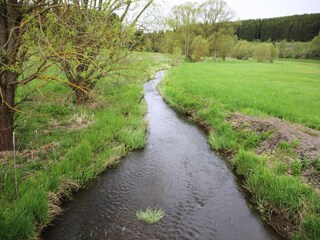 Apartment Braunlage Umgebung 44