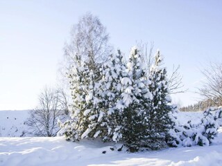 Apartamento Braunlage Entorno 41