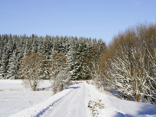 Apartment Braunlage Environment 42