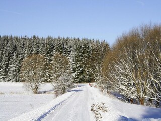 Appartamento Braunlage Ambiente 42