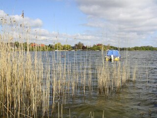 Vakantiehuis Zarrentin Omgeving 29