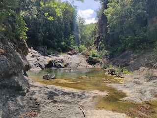 Appartamento per vacanze Livorno Ambiente 32