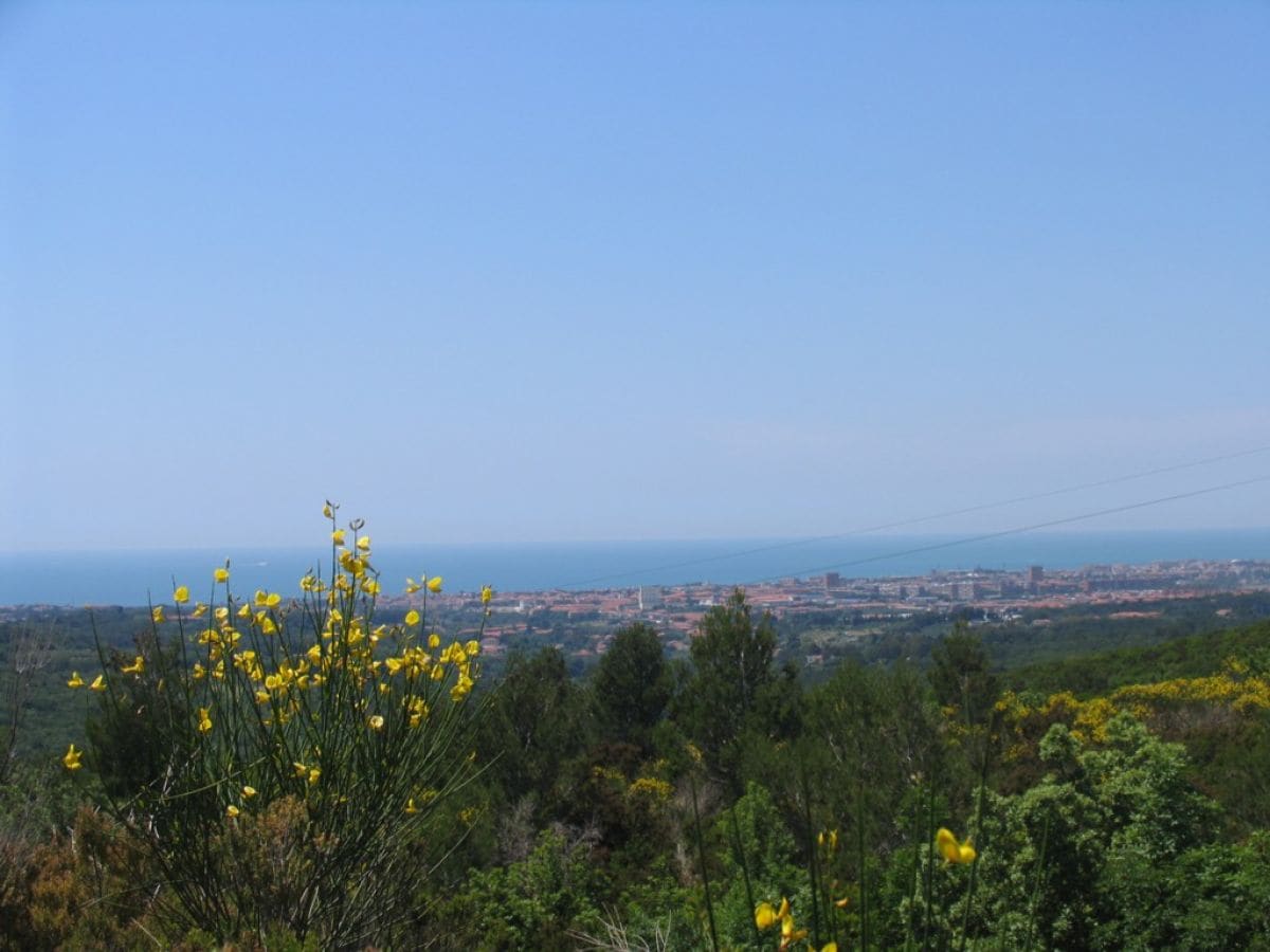 5 Minuten zu Fuß ein schöner Blick aufs Meer